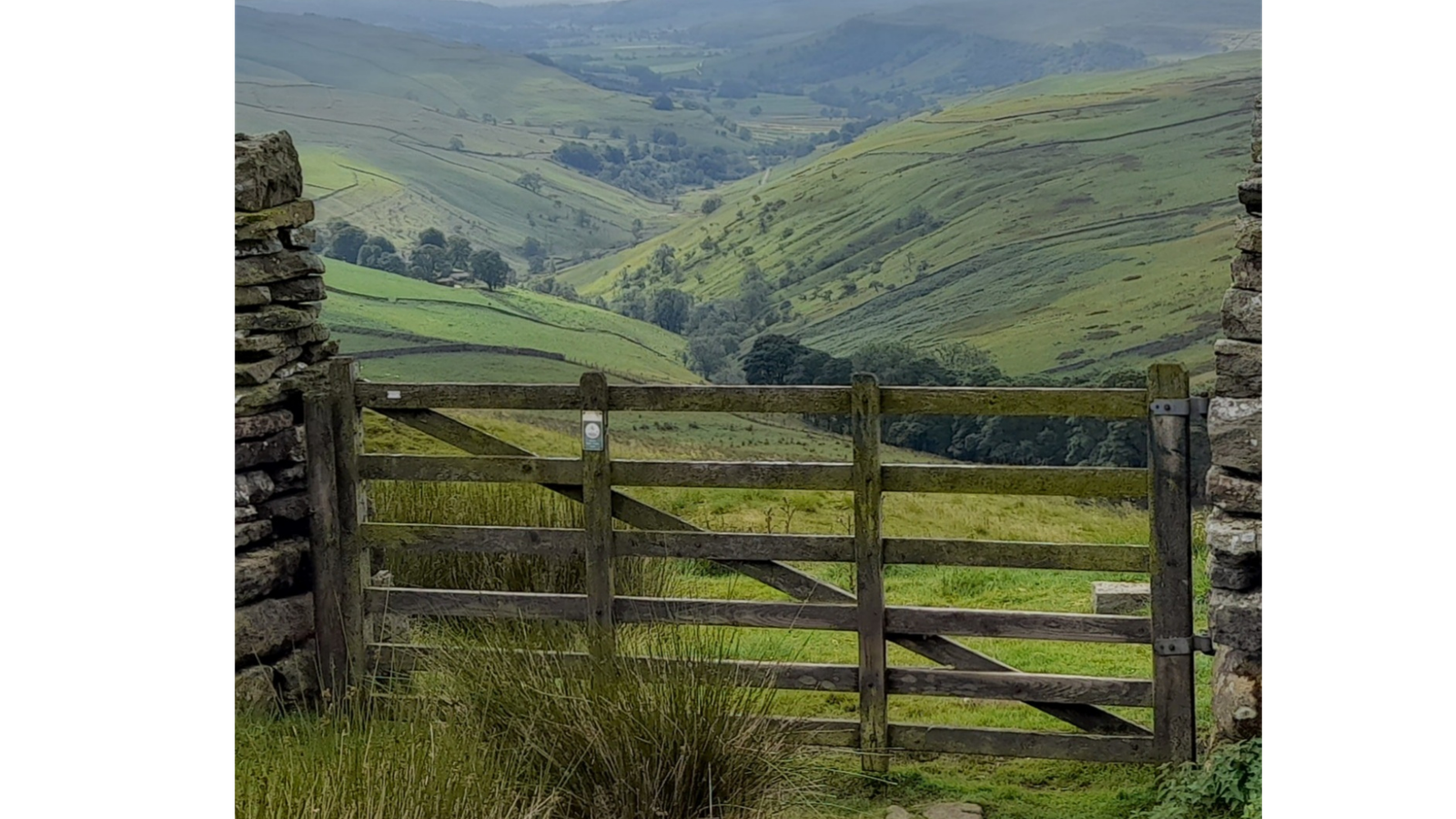 website image library