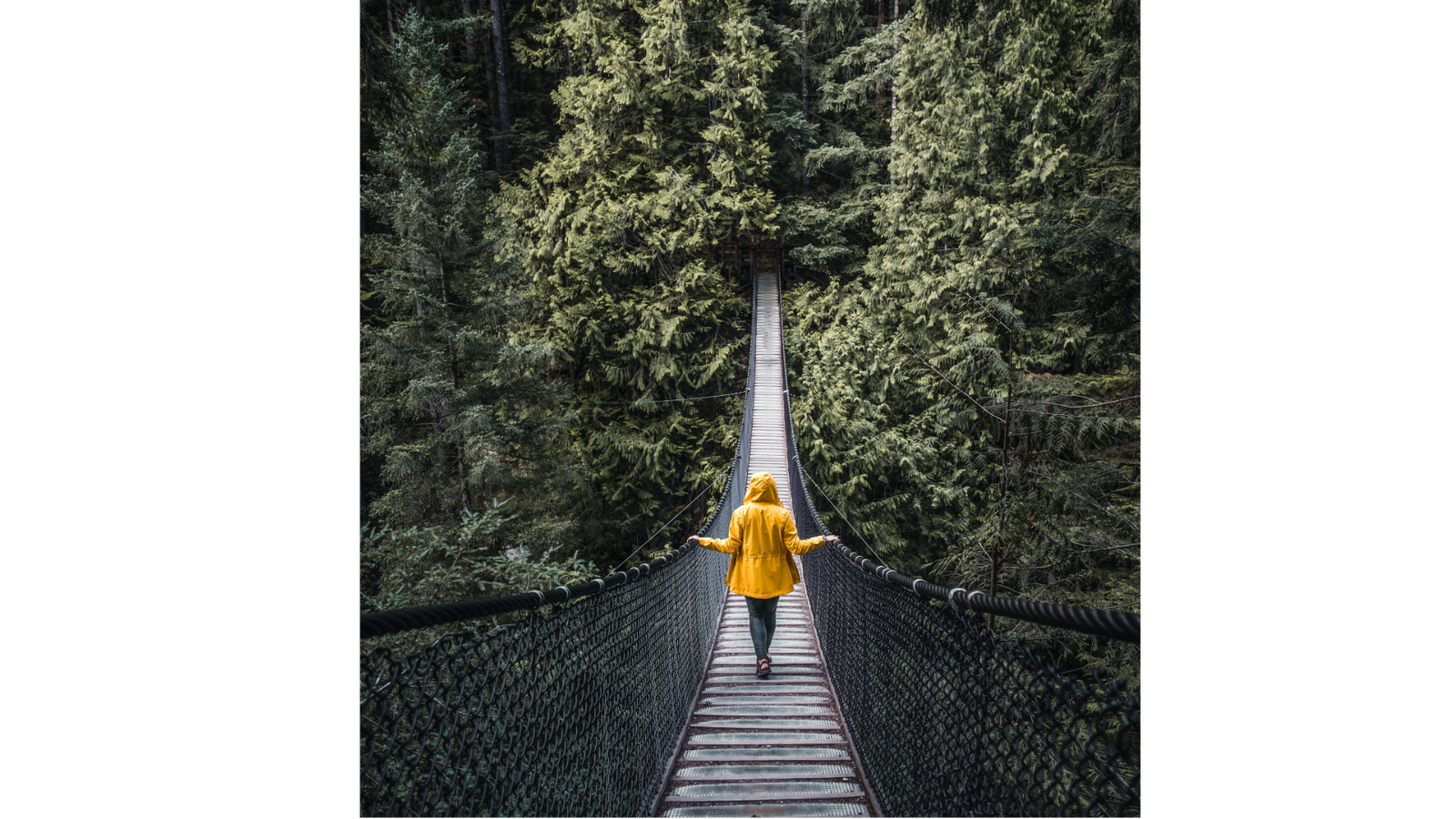 home page continue journey